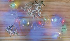 EMOS lampice s timerom Cherry, 20 LED žaruljica, unutarnje, multicolor