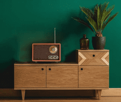 Adler Radio retro AD 1171, AM/FM, bluetooth, 10W