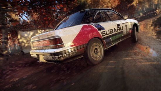 Dirt rally hot sale playstation 4