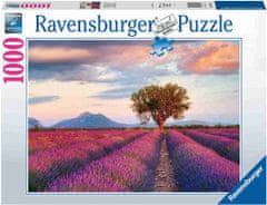 Ravensburger Polje lavande slagalica, 1000 dijelova