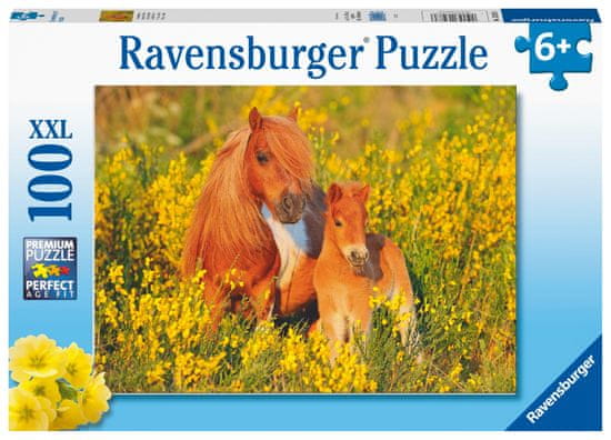 Ravensburger Šetlandski poni, 100 komada