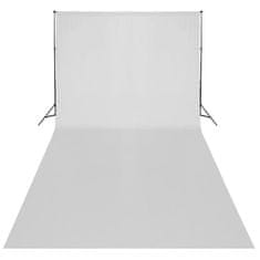 Vidaxl Studijski set bijela pozadina 600 x 300 cm i svjetla