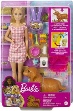 Mattel Barbie Newborn Pups set za igru sa psićima