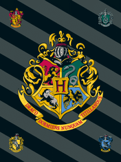 Jerry Fabrics Pokrivač od flisa Harry Potter HP067