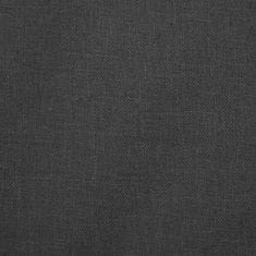 Vidaxl Dječja kolica za blizance tamnosiva čelična