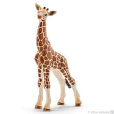 Schleich mladunče žirafe, 6,8x3,5x11,8 cm