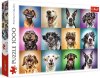 slagalica Smiješni portreti pasa, 1000 dijelova