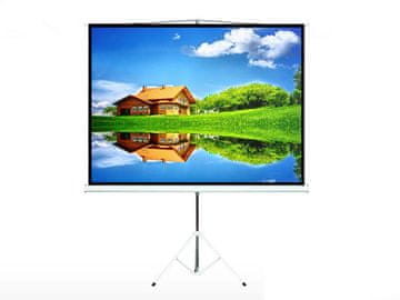 Maclean Projekcijsko platno MC-680 200 x 200 cm