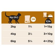 Purina Veterinary Diet hrana za mačke, NF Renal, piletina, 10x85 g