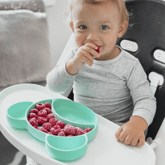 Canpol babies dječji podijeljeni tanjur s vakuumskom čašicom, silikon, trikizan