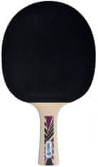Donic Schildkrot Legends 800 reket za stolni tenis
