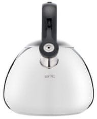 Tefal čajnik, indukcijski, od nehrđajućeg čelika, 2,7 L (K2481574)