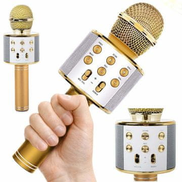 Verkgroup USB bluetooth karaoke bežični mikrofon s FM radio zvučnikom