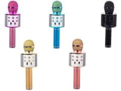 Verkgroup USB bluetooth karaoke bežični mikrofon s FM radio zvučnikom