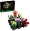 LEGO Botanicals 10309 Sukulente