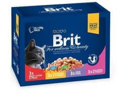 Brit vrećice Premium Cat Family Plate, 4 razliičita okusa, 12x100g