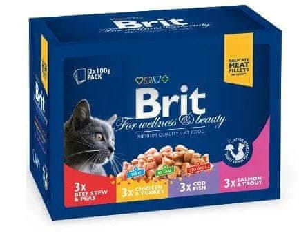 Brit vrećice Premium Cat Family Plate, 4 razliičita okusa, 12x100g