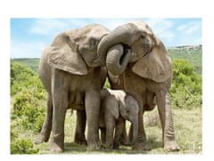 DINO Obitelj slonova, 1000 kom