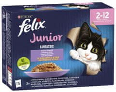 Felix FANTASTIC Junior multipack ukusni izbor u želeu, 72×85 g