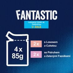 Felix Fantastic paketi s lososom i tikvicama, s pastrvama i grahom, 48x85 g