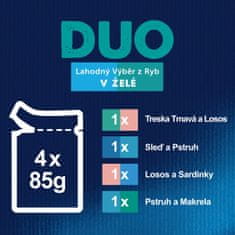 Felix Fantastic DUO izbor ribe u želeu, 48 x 85 g