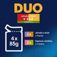 Felix Fantastic DUO izbor mesa u želeu s povrćem, 48 x 85 g