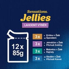 Felix Sensations Jellies janjetina, skuša, bakalar, puretina u želeu 72 x 85 g