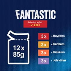 Felix hrana za mačke Fantastic s piletinom, govedinom, zecom i janjetinom u želeu, 72 x 85 g