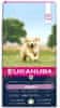 Eukanuba hrana za psa Puppy Large & Giant Breed Lamb 12 kg