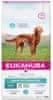 Eukanuba Daily Care Sensitive Digestion hrana za pse, 12 kg