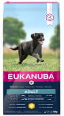 Eukanuba Adult Large Breed hrana za pse, 15 kg