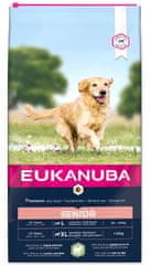 Eukanuba hrana za psa Senior Large & Giant Breed Lamb 12 kg
