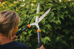 Fiskars HS21 škare za živicu (1026827)