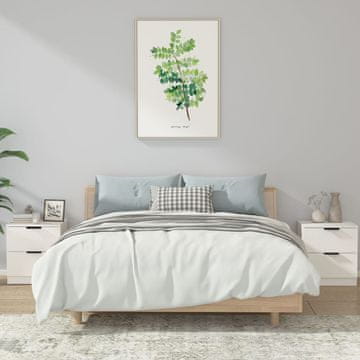 Vidaxl Noćni ormarići, set od 2, bijeli, materijal na bazi drva