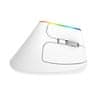 Delux Ergonomski okomiti bežični miš RGB 1600DPI