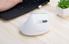 Delux Ergonomski vertikalni bežični miš RGB 1600DPI