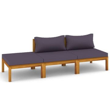 Vidaxl 3-dijelna vrtna garnitura od masivnog drva bagrema s jastucima