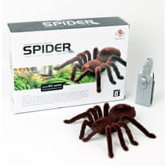 Ikonka Aga Daljinski upravljani pauk TARANTULA smeđi