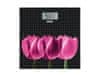Laica PS1075 osobna vaga, crna s tulipanima