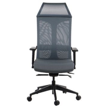 RYDER GREY MEHANIZAM SAMOVAGAVANJA