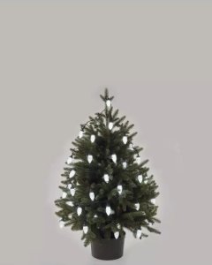  Emos 50 LED božićne lampice, čunjevi, 9,8 m, hladno bijela 