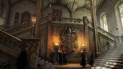 Warner Bros Hogwarts Legacy igra (PS5)