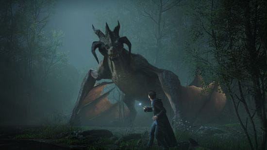 Warner Bros Hogwarts Legacy igra PS4 MALL.HR