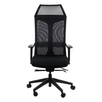 RYDER BLACK MEHANIZAM SAMOVAGAVANJA