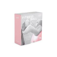 Gymstick Vivid Fitness Ball – roza lopta za vježbanje, 65 cm