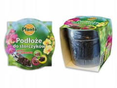Planta Set zemlje za orhideje s posudom od 1,1 l