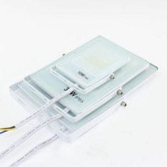 master LED LED 30W ravni reflektor bijeli 4000K IP65