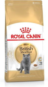 ROY ROYAL CANIN British Shorthair hrana za mačke, suha, 2 kg