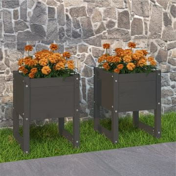 Vidaxl Žanjice, set od 2, sive, 40x40x52,5 cm, masivno borovo drvo