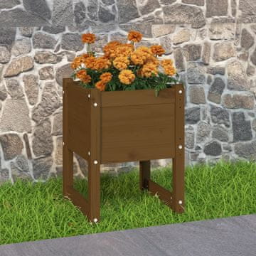 Vidaxl Žabinjak boje meda 40x40x52,5 cm Puno borovo drvo